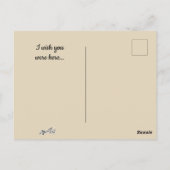 Varken in een Blanket Briefkaart (Achterkant)