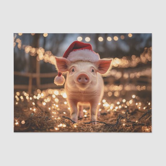 Varken in een Santa Hat Decoupage Tissuepapier (Voorkant)