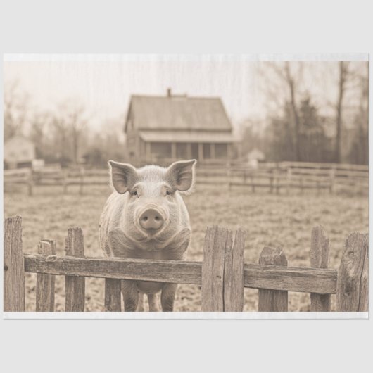 Varken op het Boerderij  Style Decoupage Tissuepapier (Voorkant)