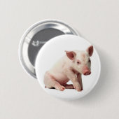 varken ronde button 5,7 cm (Voorkant /achterkant)