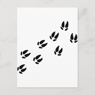 Varken - Tracks Briefkaart