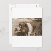 Varken van 1960 briefkaart (Voorkant / Achterkant)