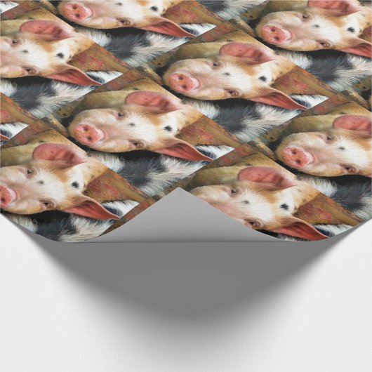 VARKENS CADEAUPAPIER (Hoek)