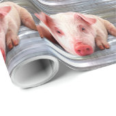 Varkens Cadeaupapier (Rol Hoek)