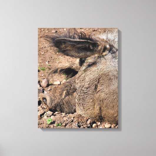 VARKENS CANVAS AFDRUK (Voorkant)