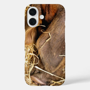 VARKENS iPhone 16 HOESJE