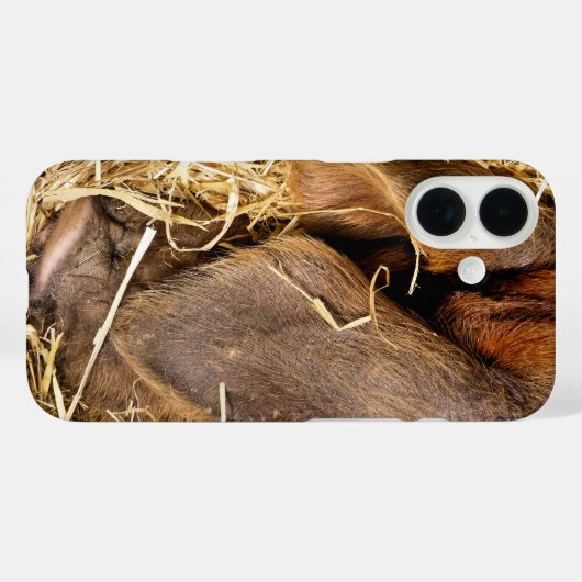 VARKENS Case-Mate iPhone CASE (Achterkant (horizontaal))