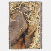 VARKENS DEKEN (Voorkant Verticaal)