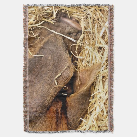 VARKENS DEKEN (Voorkant Verticaal)