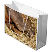 VARKENS GROOT CADEAUZAKJE (Voorkant Gekanteld)