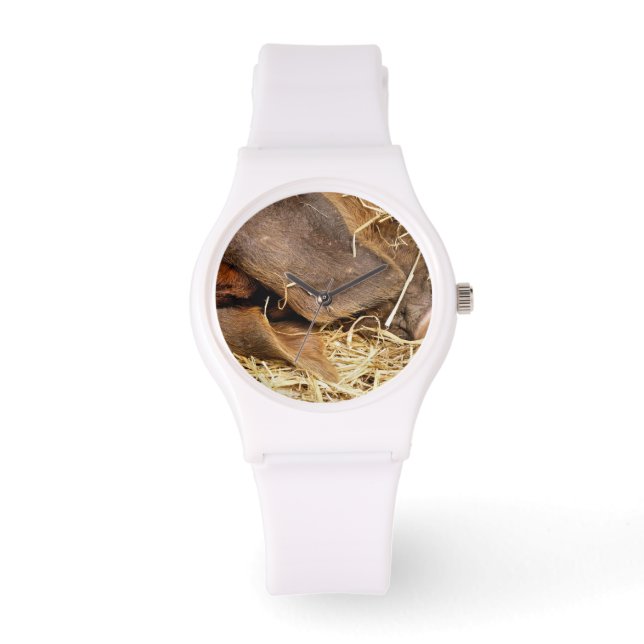 VARKENS HORLOGE (Voorkant)