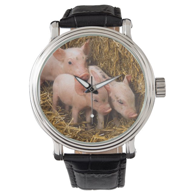 Varkens Horloge (Voorkant)