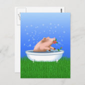 Varkens in Bath Briefkaart (Voorkant / Achterkant)