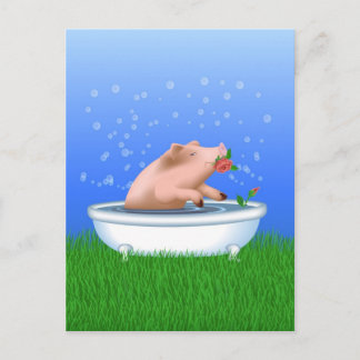 Varkens in Bath Briefkaart