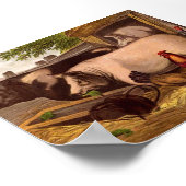 Varkens in de Barnyard Poster (Hoek)