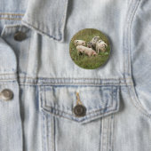 Varkens in een Button veld (In situ)