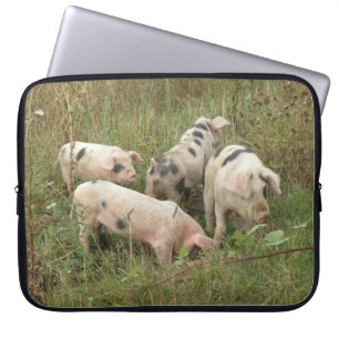 Varkens in een Field Laptop Bag Sleeve