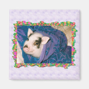 Varkens in towel Wrap Square Magnet Magneet