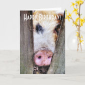 VARKENS KAART (Gele Bloem)