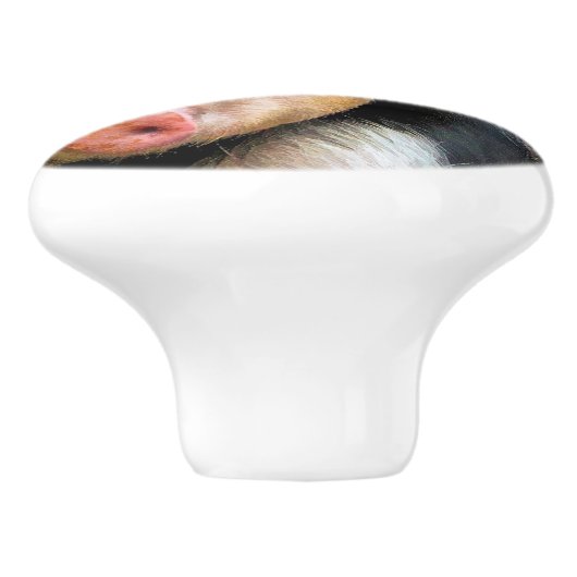 VARKENS KERAMISCHE KNOP (Zijkant)