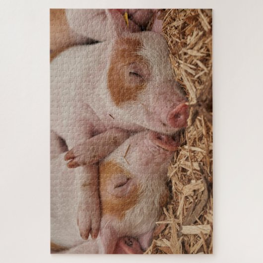 Varkens Legpuzzel (Verticaal)