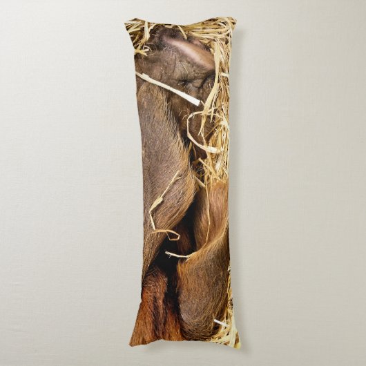 VARKENS LICHAAMSKUSSEN (Voorkant Verticaal)