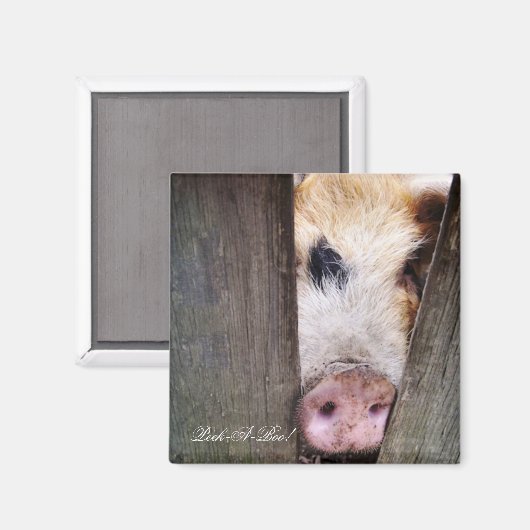 VARKENS MAGNEET (Voorkant / Achterkant)