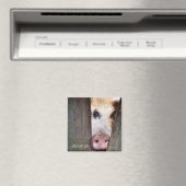 VARKENS MAGNEET (Insitu (Vaatwasser))