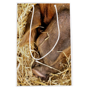 VARKENS MEDIUM CADEAUZAKJE