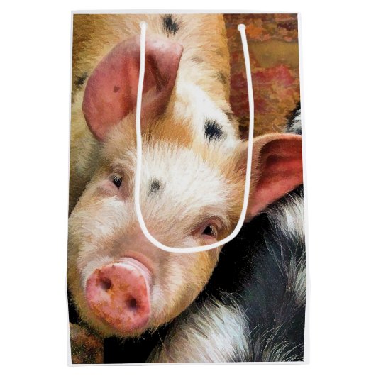 VARKENS MEDIUM CADEAUZAKJE (Achterkant)