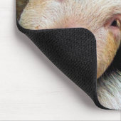 VARKENS MUISMAT (Hoek)