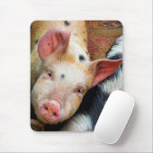 VARKENS MUISMAT (Met muis)