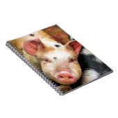 VARKENS NOTITIEBOEK (Rechterzijde)