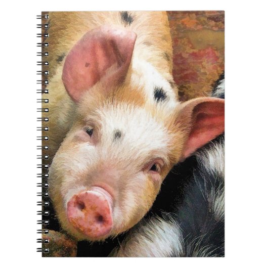 VARKENS NOTITIEBOEK (Voorkant)