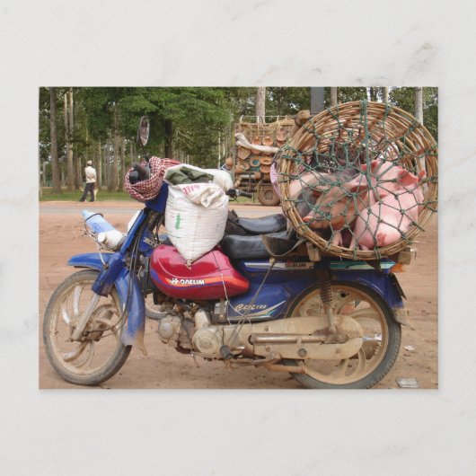 Varkens op motorfiets-Cambodja Briefkaart (Voorkant)
