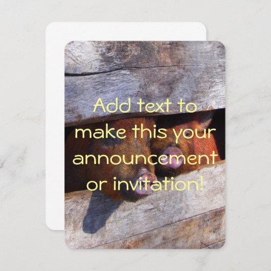 Varkens Paar Paar Piggies Kaart (Voorkant / Achterkant)