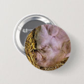 VARKENS RONDE BUTTON 5,7 CM (Voorkant /achterkant)