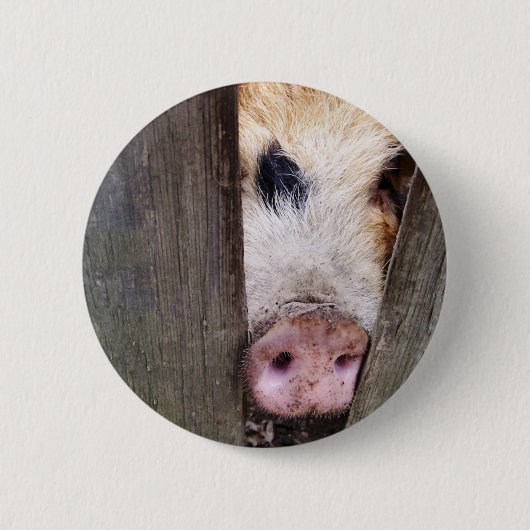 VARKENS RONDE BUTTON 5,7 CM (Voorkant)