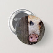 VARKENS RONDE BUTTON 5,7 CM (Voorkant /achterkant)