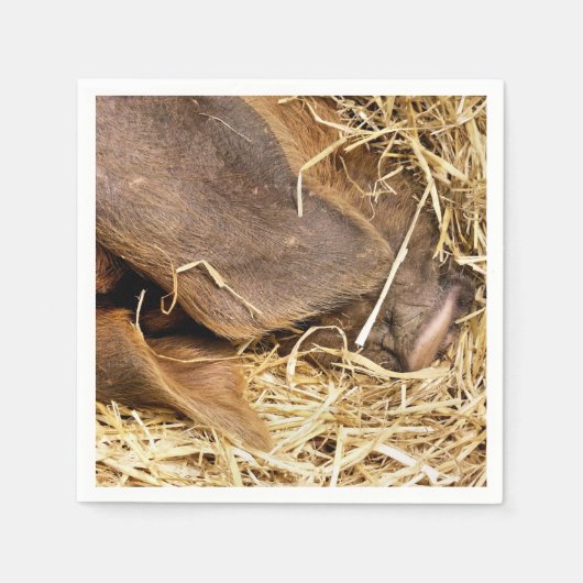 VARKENS SERVET (Voorkant)