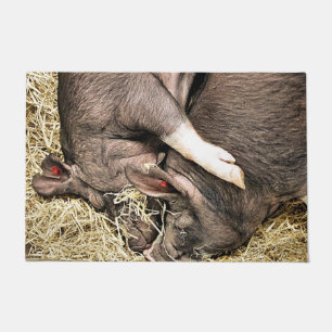 VARKENS SLAPEN DEURMAT