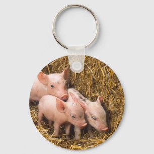 Varkens Sleutelhanger