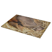 VARKENS SNIJPLANK (Hoek)