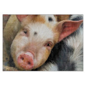 VARKENS SNIJPLANK (Voorkant)