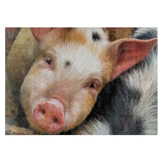 VARKENS SNIJPLANK (Voorkant)