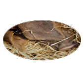 VARKENS SNIJPLANK (Hoek)