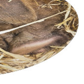 VARKENS SNIJPLANK (Hoek)