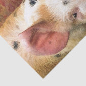 VARKENS TISSUEPAPIER (Detail)