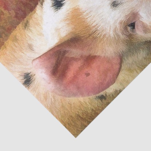 VARKENS TISSUEPAPIER (Detail)