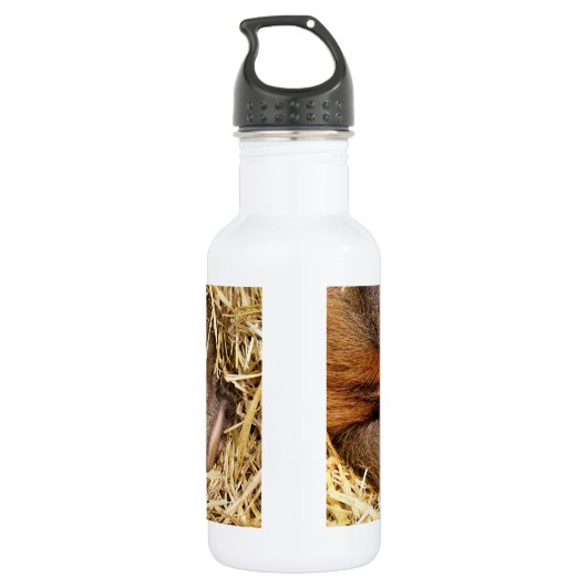 VARKENS WATERFLES (Achterkant)